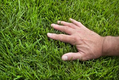 Local Lawn Repair Service in Universal City, TX