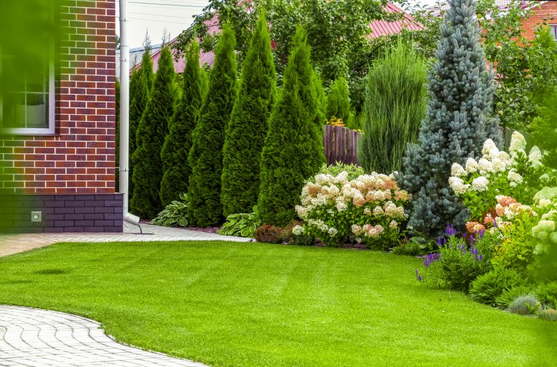 Local Residential Landscape Service in Helotes, TX