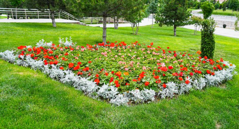 Local Shrub Installation in Boerne, TX