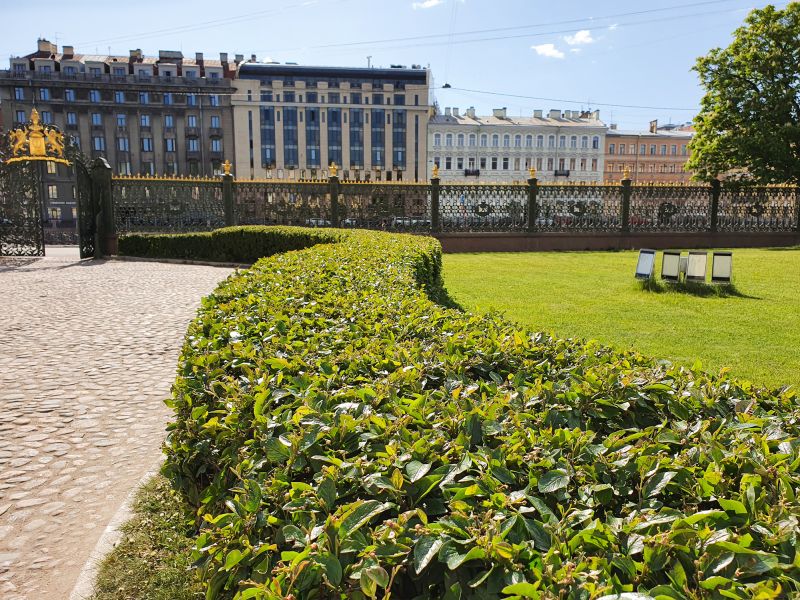 Local Shrub Replacement in Liberty Hill, TX