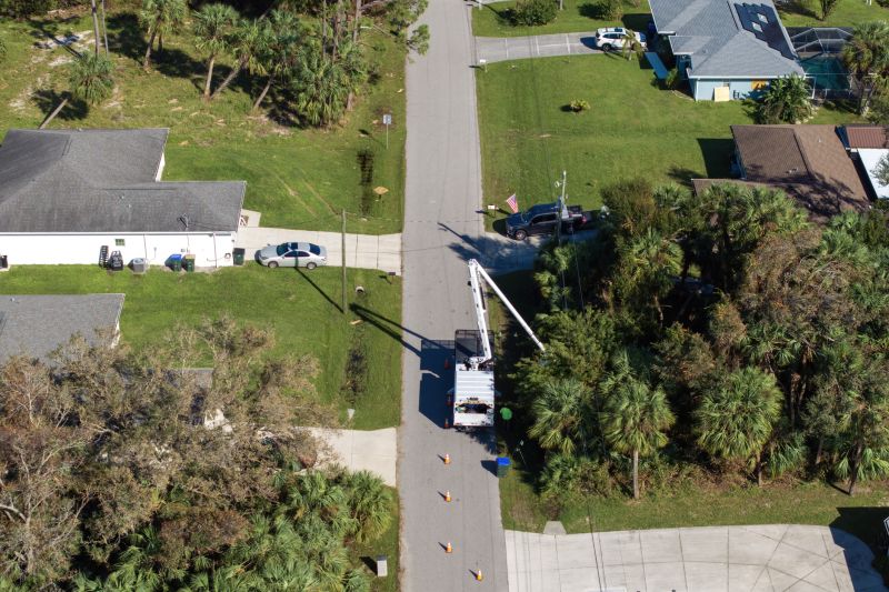 Local Tree Curbing Installation in Homosassa, FL
