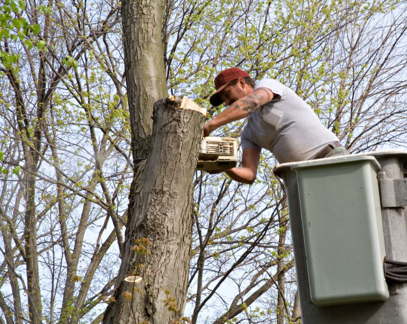 Local Tree Installation Service in La Grange, TX
