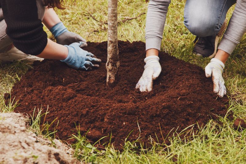 Local Tree Planting Service in Summerville, SC