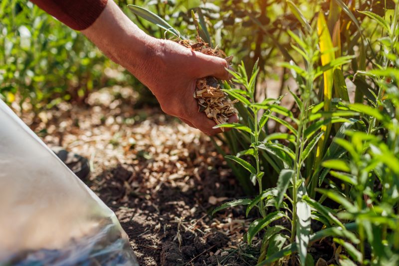 Local Weeding And Mulching in Leander, TX