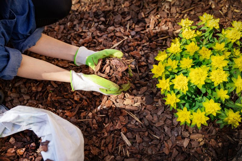Local Weeding And Mulching in Round Rock, TX