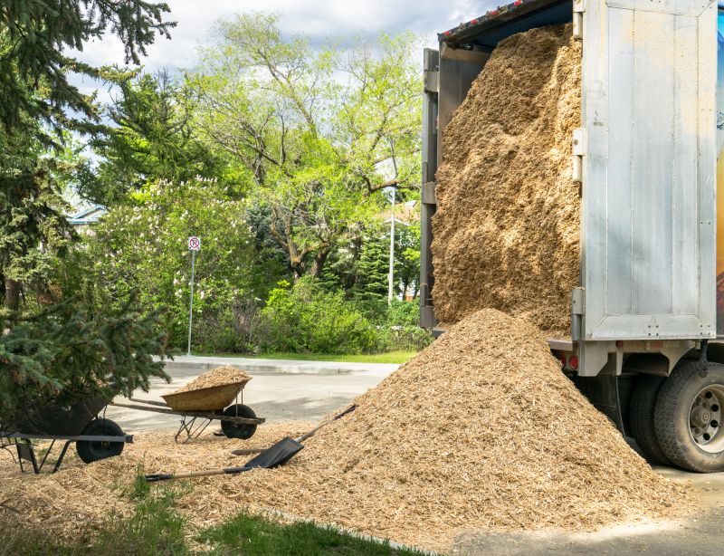 Local Wood Chips Delivery in Blanco, TX