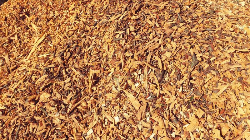 Local Wood Chips Installation in North Charleston, SC