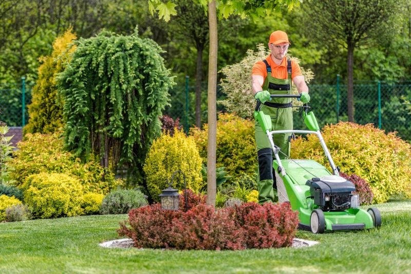 Local Yard Landscaping Service in Marble Falls, TX