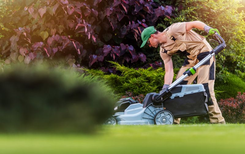 Local Yard Landscaping Service in Seguin, TX